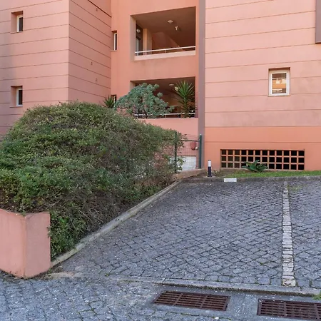 Serene Ocean 1 Bdr With Patio By Lovelystay